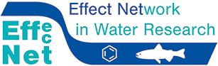 Logo Effect-net